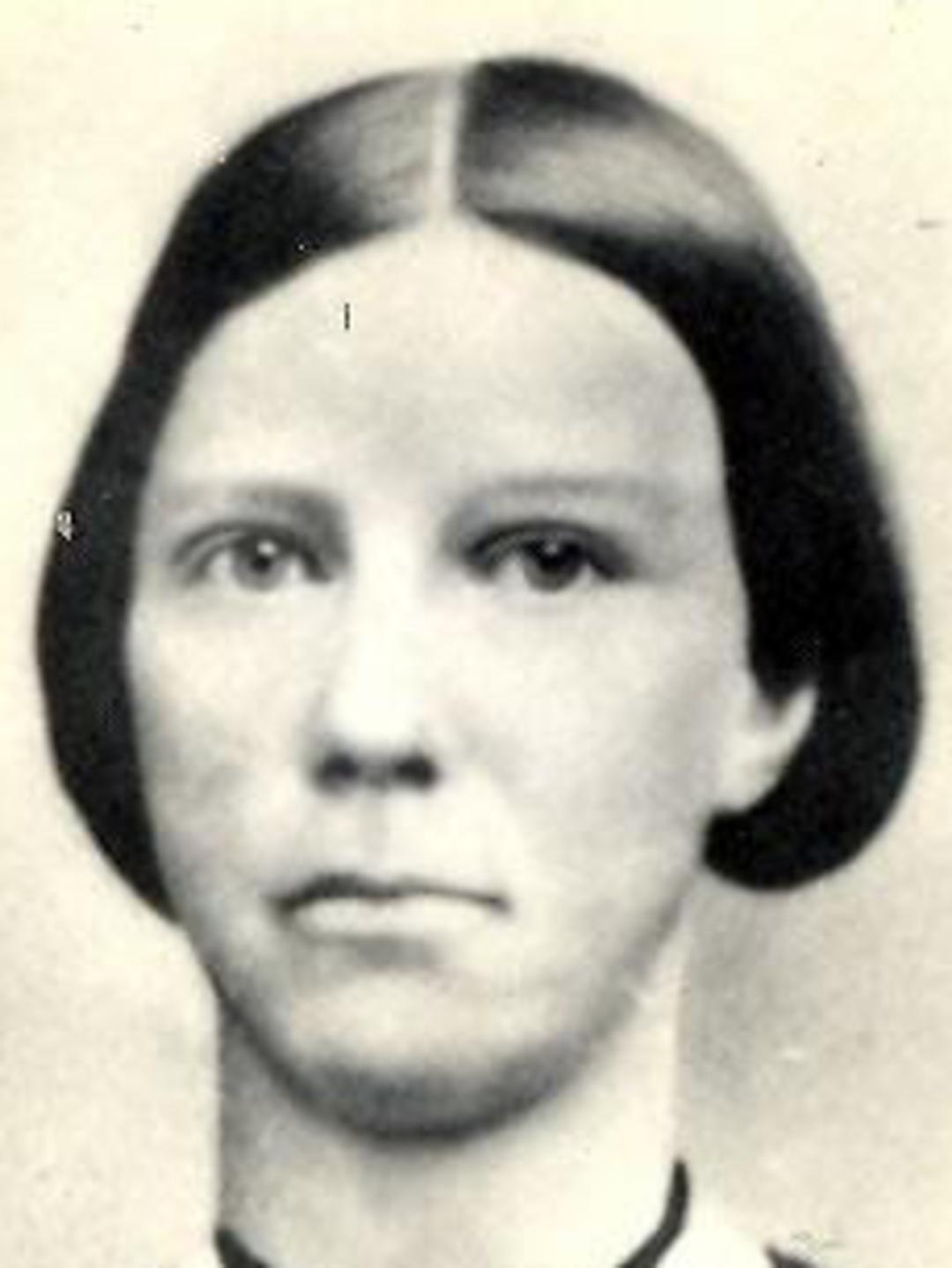 Jane Horrocks (1841 - 1914) Profile